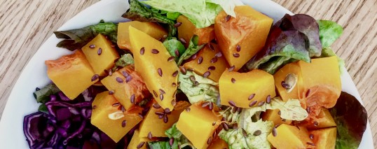 CONSEILS POUR UNE ALIMENTATION VEGETARIENNE
