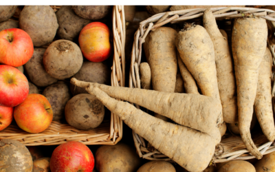 Février : fruits, légumes de saison et recettes équilibrées